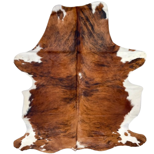 Large Colombian Tricolor Cowhide: has a reddish brown and black, brindle cowhide, with two white spots down the middle, and white on the belly and part of the shanks - 7'7" x 5'3" (COTR1527)