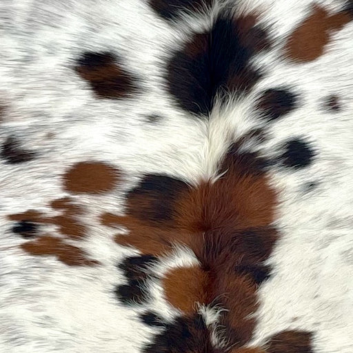 Closeup of this Colombian Tricolor Speckled Cowhide, showing white with brown and black speckles and spots  (COTR1531)