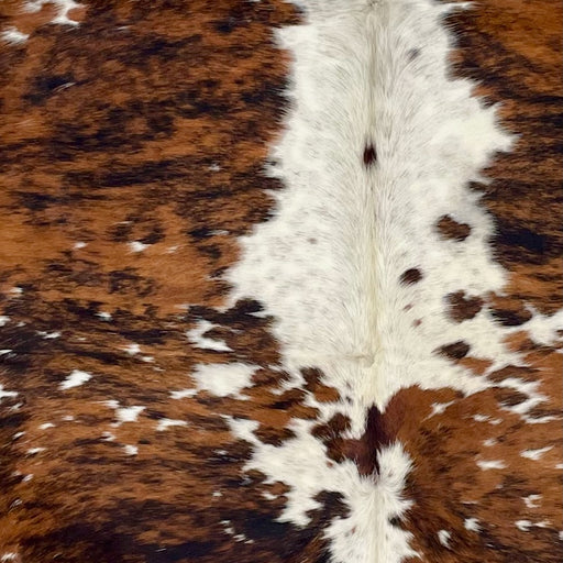 Closeup of this Large Colombian Speckled Tricolor Cowhide, showing white and off-white with black and brown speckles, and large and small spots that have a reddish brown and black, brindle pattern (COTR1534)