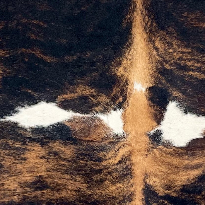 Closeup of this Large Tricolor Colombian Cowhide, showing a black and brown, brindle pattern and a few white spots (COTR1536)