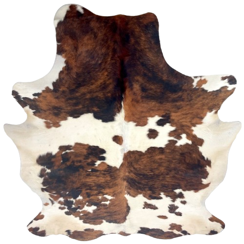 Large Colombian Tricolor Cowhide: off-white with large and small spots that have a mix of brown and black - 7'10" x 6' (COTR1538)