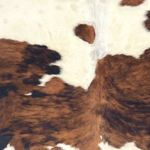 Closeup of this Large Colombian Tricolor Cowhide, showing off-white with large and small spots that have a mix of brown and black (COTR1538)