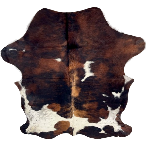 Colombian Tricolor Cowhide: has a mix of reddish brown and black, a few small, white spots, large, white spots with black speckles, and long hair down the middle of the shoulder - 6'11" x 5'1" (COTR1540)