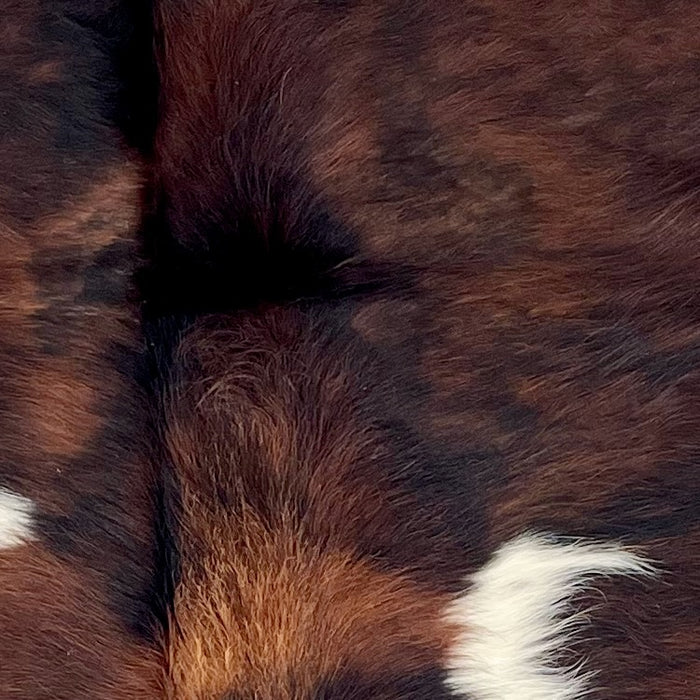 Closeup of this Colombian Tricolor Cowhide, showing a mix of reddish brown and black, and two small, white spots  (COTR1540)
