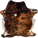 Colombian Tricolor Cowhide: has a red brown, golden brown, and black, brindle pattern, with a couple small, white spots, white with brown speckles on the belly and part of the shanks, and long hair down the spine - 6'8" x 5'2" (COTR1541)
