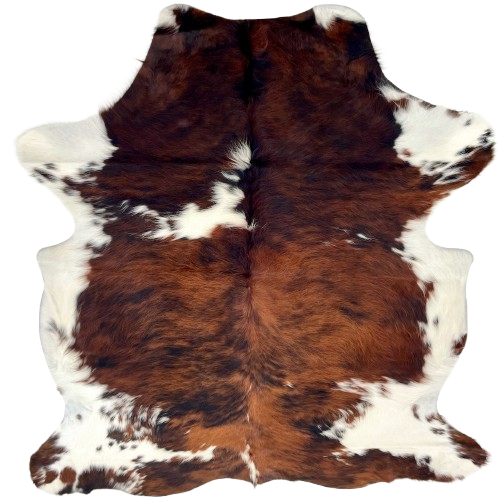 Colombian Tricolor Cowhide: has long hair that has a mix of reddish brown and black, with a few white spots, and white on the belly and shanks - 6'10" x 5'3" (COTR1542)
