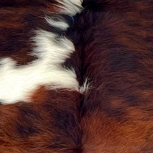 Closeup of this Colombian Tricolor Cowhide, showing long hair that has a mix of reddish brown and black, with a few white spots (COTR1542)