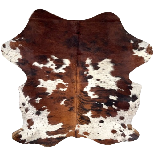 Colombian Tricolor Cowhide: has a mix of reddish brown and black, and white spots that have black and brown speckles and spots - 6'9" x 5'2" (COTR1543)