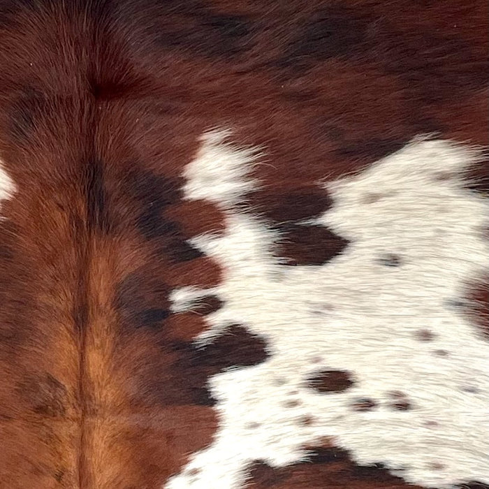 Closeup of this Colombian Tricolor Cowhide, showing a mix of reddish brown and black, and white spots that have black and brown speckles and spots (COTR1543)