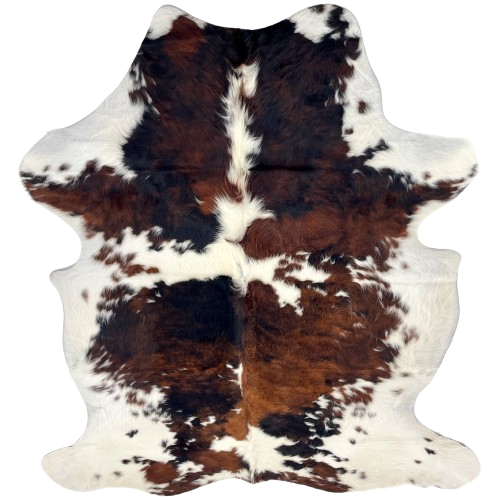 Colombian Tricolor Cowhide: has long hair that is white with large and small spots that have a mix of back and reddish brown - 6'10" x 5' (COTR1546)