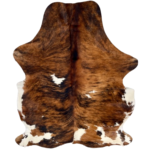 Colombian Tricolor Cowhide: has a reddish brown and black, brindle pattern, and white spots on the back, belly, and hind shanks - 7' x 5'2" (COTR1548)