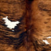 Closeup of this Colombian Tricolor Cowhide, showing a reddish brown and black, brindle pattern, and white spots on the back (COTR1548)