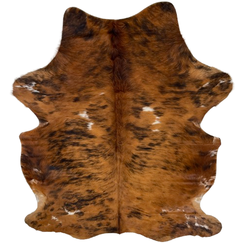 Colombian Tricolor Cowhide: has a reddish brown and black, brindle pattern with a few small, white spots, and longer hair down the spine - 7'5" x 5'5" (COTR1549)