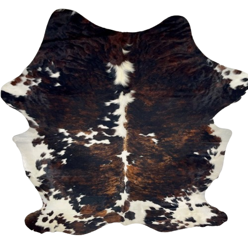 Large Colombian Tricolor Cowhide: has a mix of black and brown, with large and small, white spots - 7'7" x 5'10" (COTR1550)
