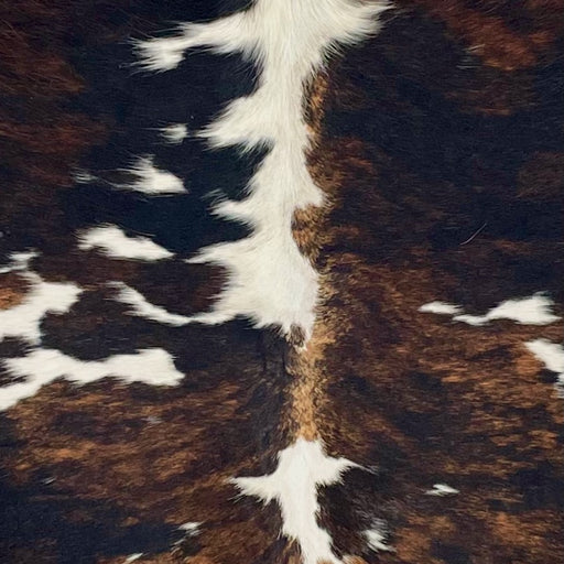 closeup of this Large Colombian Tricolor Cowhide, showing a mix of black and brown, with large and small, white spots  (COTR1550)