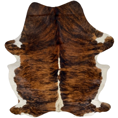 Large Colombian Tricolor Cowhide: has a reddish brown and black, brindle pattern, off-white with black speckles down the spine, and white on the belly and part of the shanks - 7'7" x 5'7" (COTR1552)