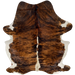 Large Colombian Tricolor Cowhide: has a reddish brown and black, brindle pattern, off-white with black speckles down the spine, and white on the belly and part of the shanks - 7'7" x 5'7" (COTR1552)