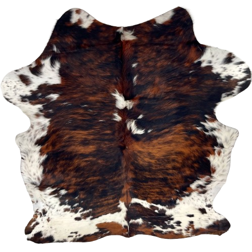 Colombian Tricolor Cowhide: has a black and reddish brown, brindle pattern, a few white spots in the middle of the shoulder, white with black and brown speckldes on the belly, shanks, and butt, and long hair down the spine - 7'1" x 5'6" (COTR1554)