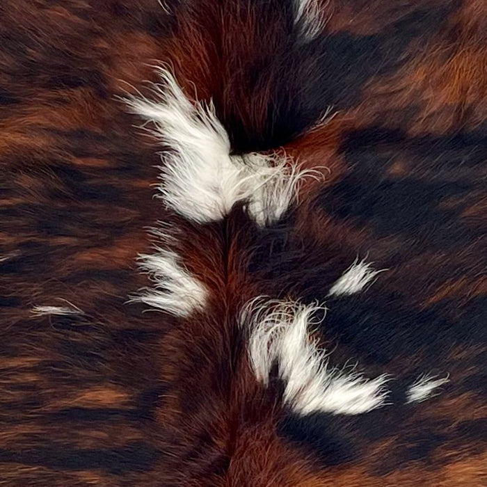 Closeup of this Colombian Tricolor Cowhide, showing a black and reddish brown, brindle pattern, and a few white spots in the middle of the shoulder  (COTR1554)