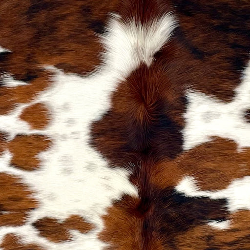 Closeup of this Colombian Tricolor Cowhide, showing white with black speckles, and large and small spots that have a reddish brown and black, brindle pattern (COTR1557)