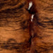 Closeup of this XL Tricolor Colombian Cowhide, showing a red brown and black, brindle pattern, and a couple small, white spots down the middle of the shoulder  (COTR1558)