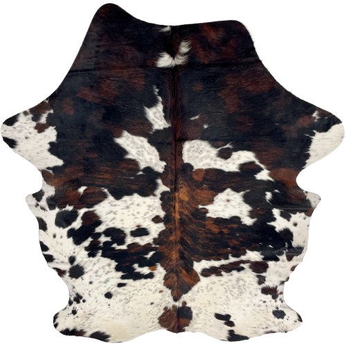 Colombian Cloudy Speckled Tricolor Cowhide: white with cloudy, black speckles, and large and small spots that have a black and brown, brindle pattern - 7'2" x 5'2" (COTR1559)