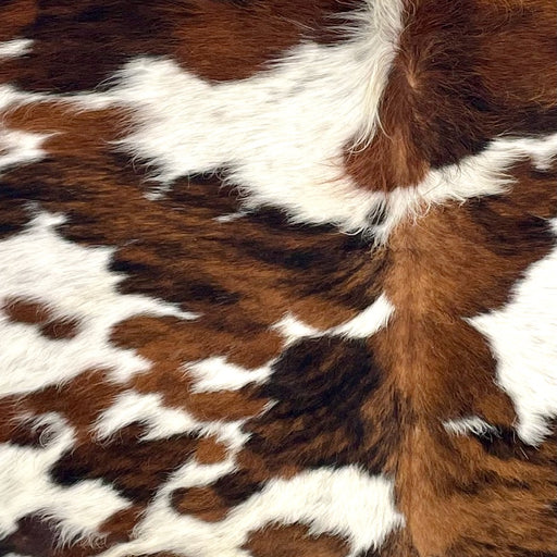 Closeup of this Colombian Speckled Tricolor Cowhide, showing long hair that is white with black and brown speckles, large and small small spots with a mixture of reddish brown and black (COTR1560)