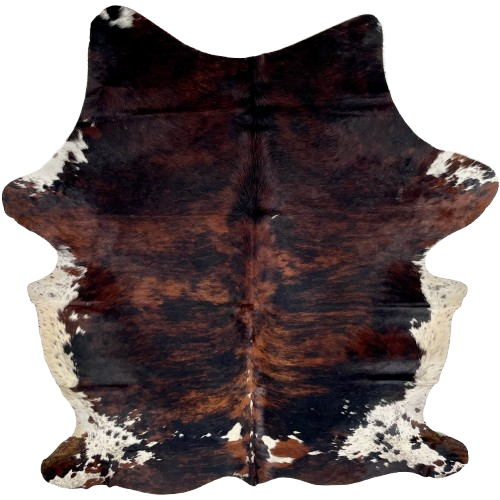 Large Colombian Tricolor Cowhide: has a black and reddish brown, brindle pattern, with a few small white spots down the spine and on the butt, and white and off-white with black and brown speckles and spots on the belly and shanks - 7'7" x 5'7" (COTR1561)