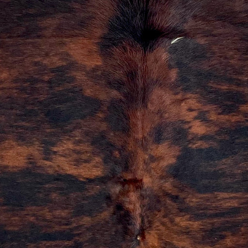 Closeup of this Large Colombian Tricolor Cowhide, showing a black and reddish brown, brindle pattern, and a very small, white spot (COTR1561)