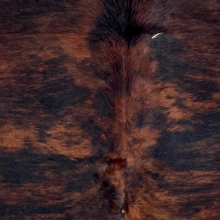 Closeup of this Large Colombian Tricolor Cowhide, showing a black and reddish brown, brindle pattern, and a very small, white spot (COTR1561)