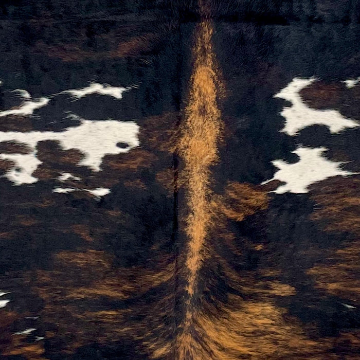 Closeup of this Large Colombian Tricolor Cowhide, showing black on the shoulder, brown down the spine, brown, brindle markings, and white spots on the back  (COTR1562)