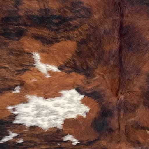 Closeup of this Large Colombian Tricolor Cowhide, showing a mix of reddish brown and black, and white spots with black speckles (COTR1564)