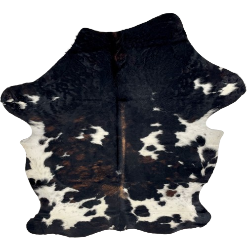 Large Colombian Dark Tricolor Cowhide: black with brown down part of the spine, a few brown, brindle markings, and large and small, white spots - 7'5" x 5'5" (COTR1565)