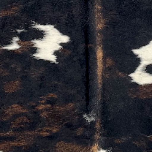 Closeup of this Large Colombian Dark Tricolor Cowhide, showing black with brown down part of the spine, a few brown, brindle markings, and two small, white spots (COTR1565)