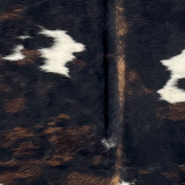 Closeup of this Large Colombian Dark Tricolor Cowhide, showing black with brown down part of the spine, a few brown, brindle markings, and two small, white spots (COTR1565)
