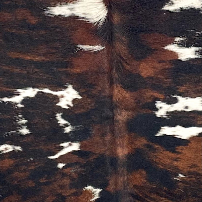 Closeup of this Colombian Tricolor Cowhide, showing white with black speckles, large and small black and brown spots (COTR1566)