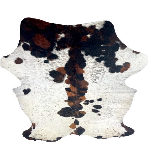 XL Colombian Speckled Tricolor Cowhide: white and off-white with black speckles, large and small spots with a mix of black and brown, and long hair down the middle of the shoulder - 8'4" x 6'3" (COTR1567)