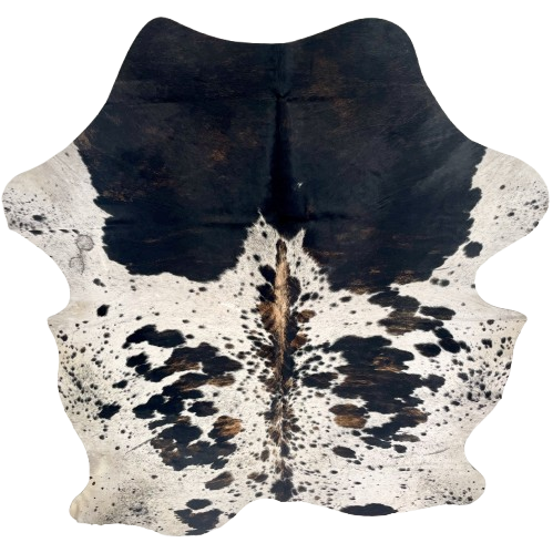 Large Colombian Tricolor Speckled Cowhide: off-white with black speckles and spots, some having brown mixed in, mostly sold black on the shoulder, and one brand mark near the left fore shank - 7'10" x 5'11" (COTR1572)