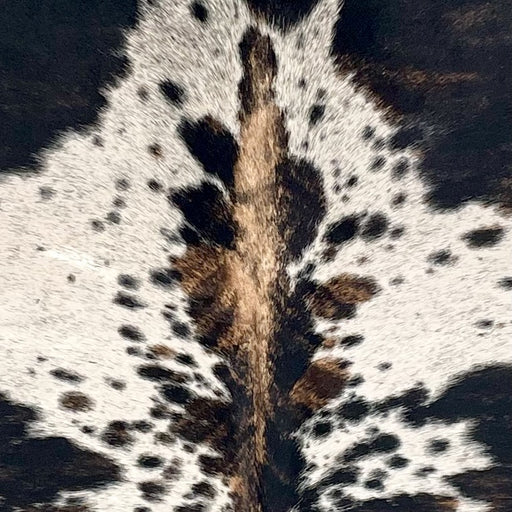 Closeup of this Large Colombian Tricolor Speckled Cowhide, showing off-white with black speckles and spots, some having brown mixed in (COTR1572)