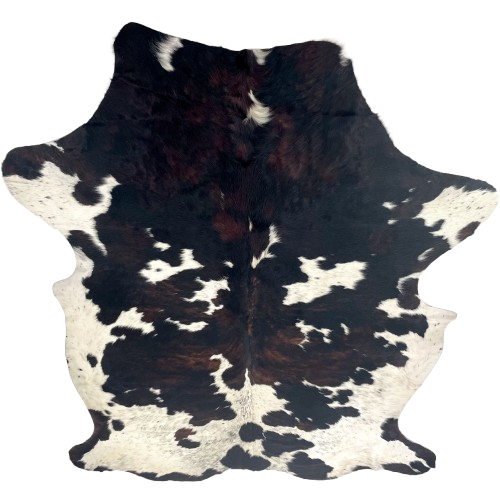 XL Colombian Tricolor Cowhide: has mix of black and reddish brown, large and small, white and off-white spots with black speckles, and longer hair down the middle of the shoulder - 8'2" x 5'9" (COTR1573)