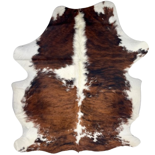Colombian Tricolor Cowhide: white with a black and reddish brown, brindle pattern down both sides, and longer hair down the spine - 6'6" x 5'1" (COTR1575)