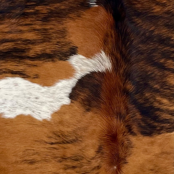 Closeup of this Colombian Tricolor Cowhide, showing a golden brown and black, brindle pattern, and white spots with black and brown speckles  (COTR1576)