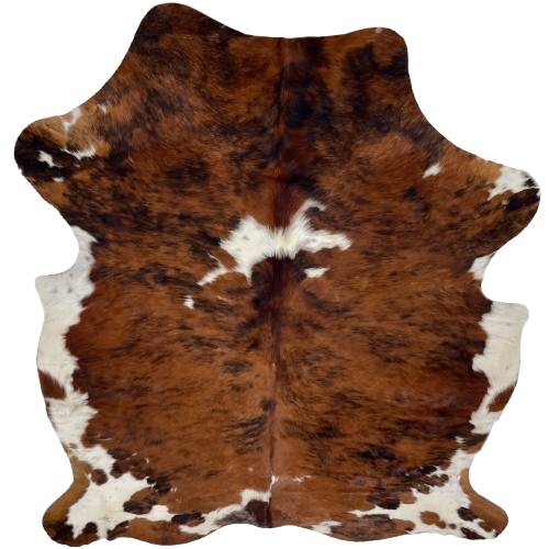 Colombian Tricolor Cowhide: has a reddish brown and black, brindle pattern, and small and large, white spots - 6'10" x 5'4" (COTR1583)