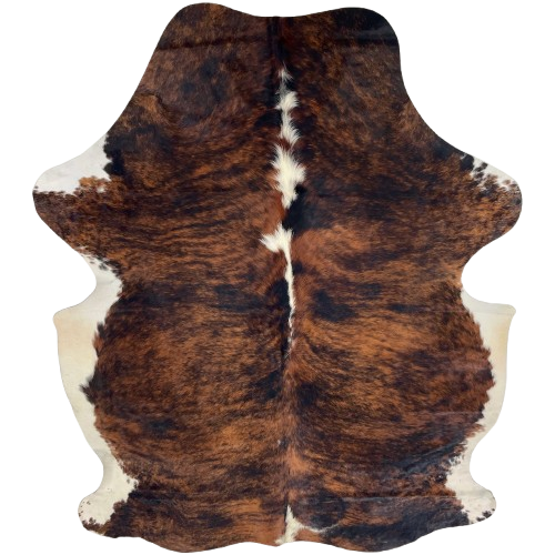Colombian Tricolor Cowhide: has a red brown and black, brindle pattern, and white down part of the spine and on the belly - 6'10" x 5' (COTR1590)