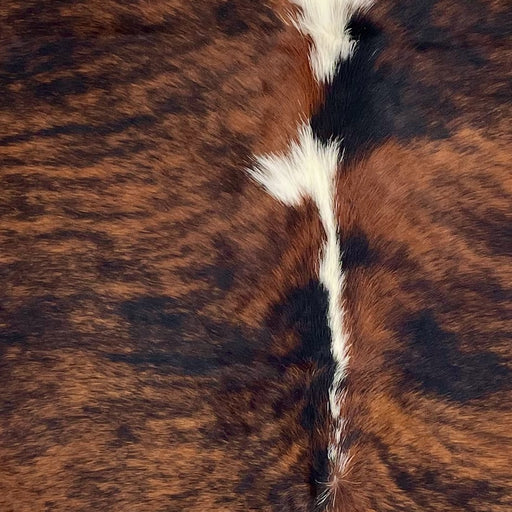Closeup of this Colombian Tricolor Cowhide, showing a red brown and black, brindle pattern, and white down part of the spine (COTR1590)