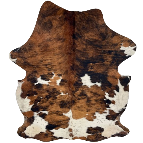 Colombian Tricolor Cowhide: has a brown and black, brindle pattern and white spots that have faint, black speckles - 6'11" x 5' (COTR1592)