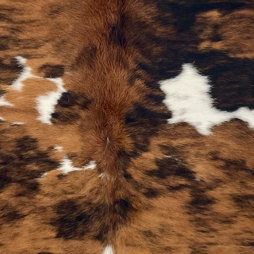 Closeup of this Colombian Tricolor Cowhide, showing a brown and black, brindle pattern and white spots that have faint, black speckles (COTR1592)