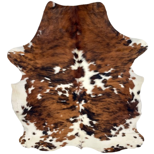 Colombian Tricolor Cowhide: has a reddish brown and black, brindle pattern with white spots, and longer hair down the spine - 6'8" x 5'3" (COTR1593)