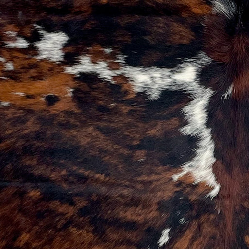 Closeup of this Colombian Tricolor Cowhide, showing a red brown and black, brindle pattern and white spots that have black and brown speckles and spots  (COTR1594)