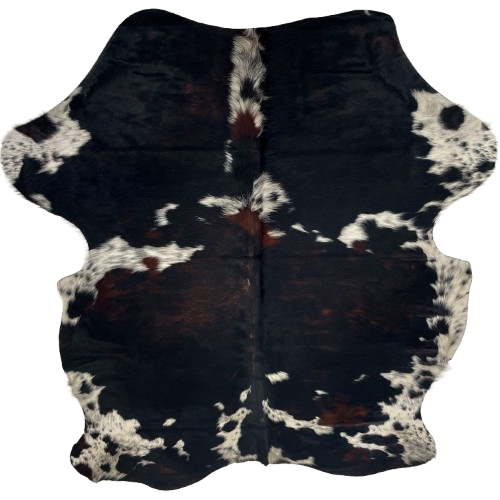 Colombian Dark Tricolor Cowhide: has a mix of black and dark, reddish brown, and white spots that have black speckles and spots - 6'10" x 5'2" (COTR1595)